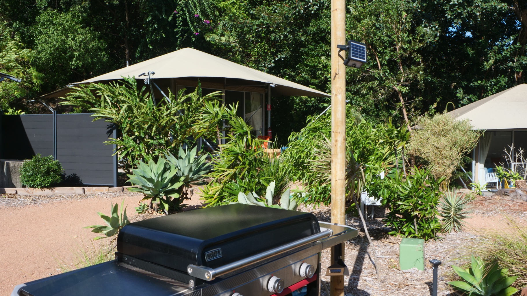 Communal BBQ area with resort tents in the background, Magnetic Glamping